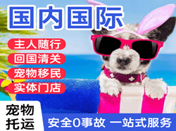 朝阳川机场快递国际宠物托运 【国